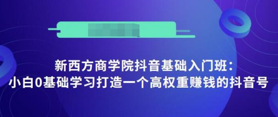 抖音基础入门班：小白0基础学习打造一个高权重赚钱的抖音号-鹤行社项目库