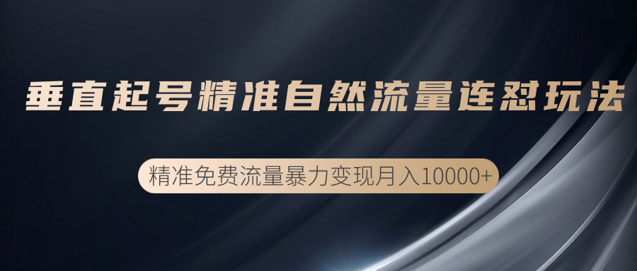 垂直起号精准自然流量连爆玩法，精准引流暴力变现月入10000+-鹤行社项目库