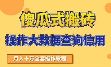 搬砖操作大数据查询信用项目赚钱教程，祝你快速月入6万-鹤行社项目库