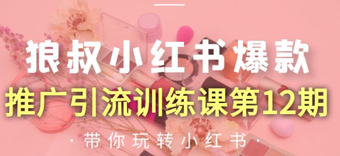 狼叔小红书爆款推广引流训练课第12期，手把手带你玩转小红书-鹤行社项目库