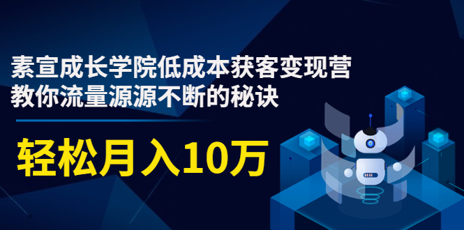 素宣成长学院低成本获客变现营，教你流量源源不断的秘诀，轻松月入10万-鹤行社项目库