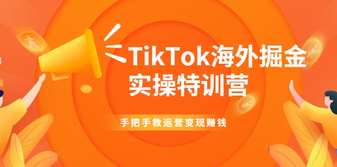TikTok海外掘金实操特训营：手把手教运营变现赚钱-鹤行社项目库