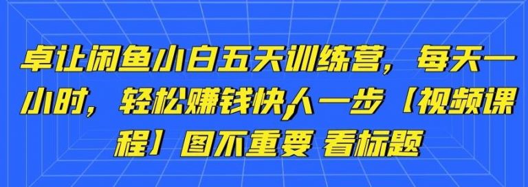 卓让闲鱼小白五天训练营，每天一小时，轻松赚钱快人一步-鹤行社项目库