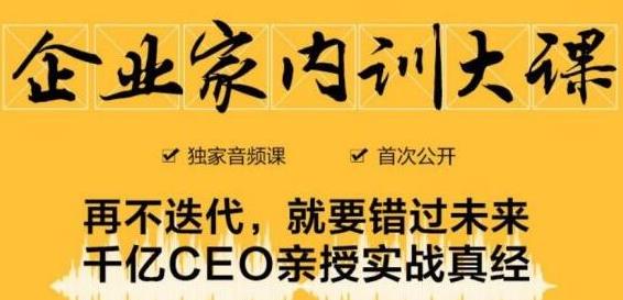 企业家内训大课，未来企业必学经验，价值1299元-鹤行社项目库