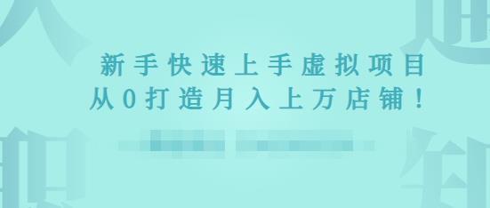 2022年虚拟项目实战指南，新手从0打造月入上万店铺-鹤行社项目库