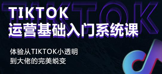 Tiktok实操进阶课程，体验从tiktok小透明到大佬的完美蜕变-鹤行社项目库