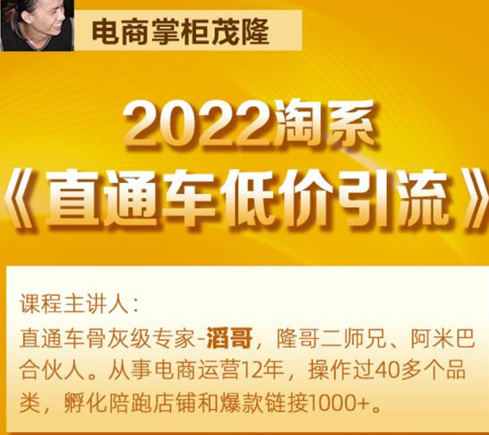 茂隆2022直通车低价引流玩法，教大家如何低投入高回报的直通车玩法-鹤行社项目库