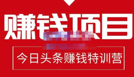 懒人领域·今日头条项目玩法，头条中视频项目，单号收益在50—500可批量-鹤行社项目库