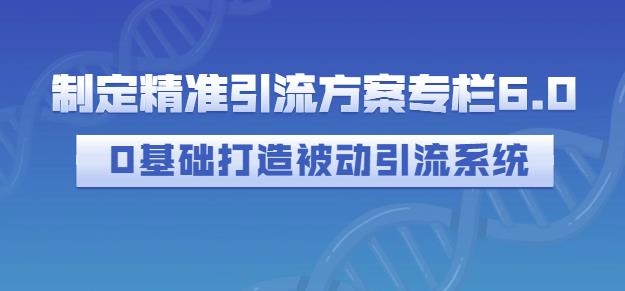 制定精准引流方案专栏6.0，0基础打造被动引流系统-鹤行社项目库