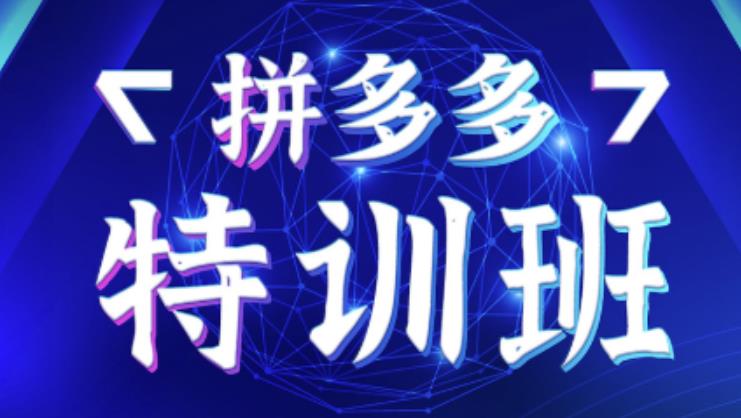 星雪教育·拼多多基础班+进阶班+突破班，用系统的学习模式快速改变现状价值3580元-鹤行社项目库