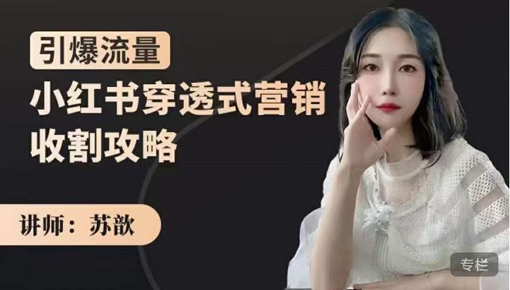苏歆：小红书穿透式营销收割攻略，引爆流量，助你玩转小红书-鹤行社项目库