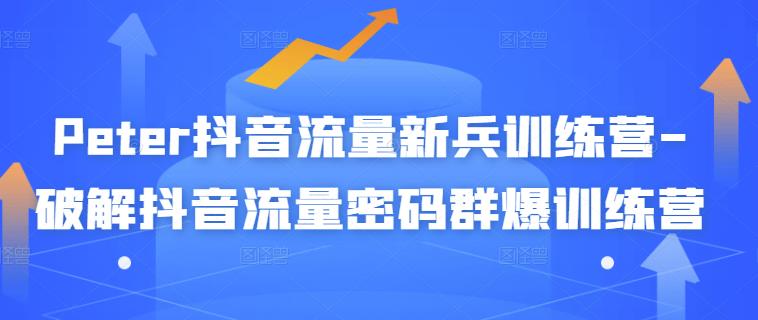 Peter抖音流量新兵训练营-破解抖音流量密码群爆训练营（新兵）-鹤行社项目库