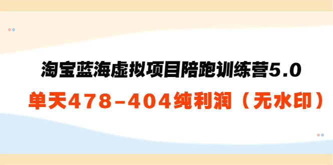 淘宝蓝海虚拟项目陪跑训练营5.0：单天478纯利润-鹤行社项目库