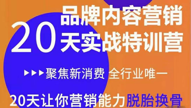 《内容营销实操特训营》20天让你营销能力脱胎换骨（价值3999）-鹤行社项目库