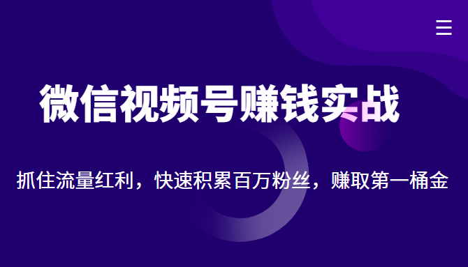 微信视频号赚钱实战：抓住流量红利，快速积累百万粉丝，赚取你的第一桶金-鹤行社项目库