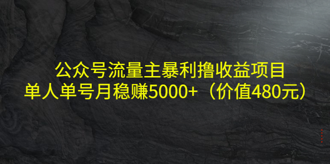 公众号流量主暴利撸收益项目，单人单号月稳赚5000+（价值480元）-鹤行社项目库