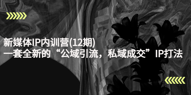新媒体IP内训营(12期)，一套全新的“公域引流，私域成交”IP打法，直接带走-鹤行社项目库
