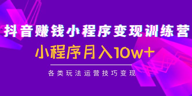 抖音赚钱小程序变现训练营：小程序月入10w+各类玩法运营技巧变现-鹤行社项目库