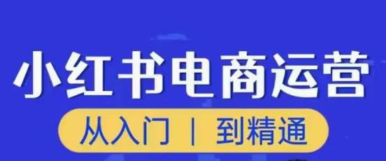顽石小红书电商高阶运营课程，从入门到精通，玩法流程持续更新-鹤行社项目库