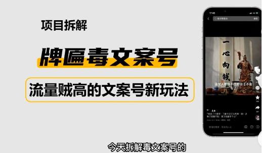 2023抖音快手毒文案新玩法，牌匾文案号，起号快易变现-鹤行社项目库