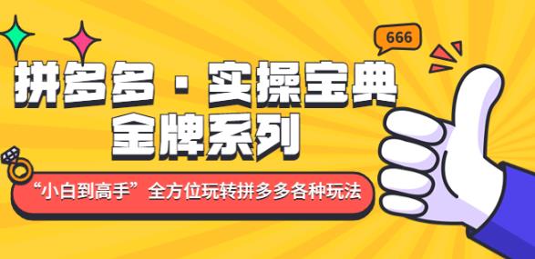 拼多多·实操宝典：金牌系列“小白到高手”带你全方位玩转拼多多各种玩法-鹤行社项目库