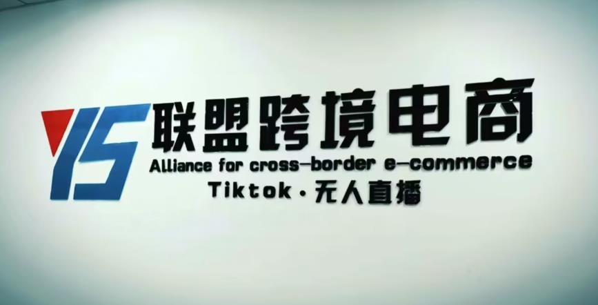 YS联盟·Tiktok无人直播，不出镜不剪辑不拍摄不发货无售后的跨境短视频躺赚玩法-鹤行社项目库