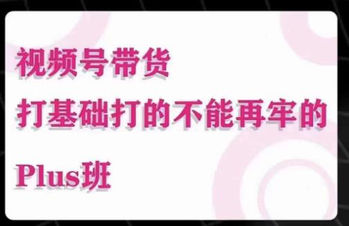 大播汇·视频号带货Puls班，视频号底层逻辑，起号自然流鱼塘等玩法-鹤行社项目库
