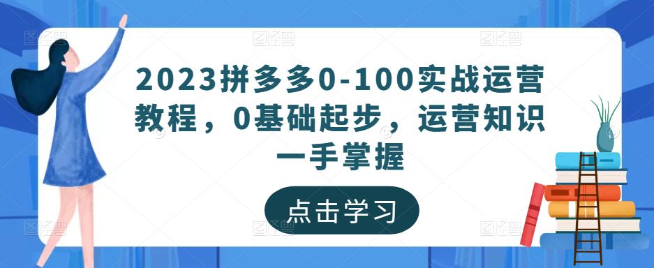 2023拼多多0-100实战运营教程，0基础起步，运营知识一手掌握-鹤行社项目库