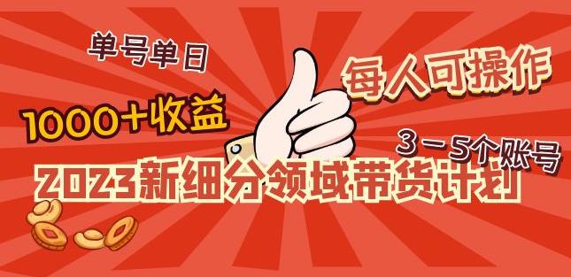 2023新细分领域带货计划：单号单日1000+收益不难，每人可操作3-5个账号-鹤行社项目库