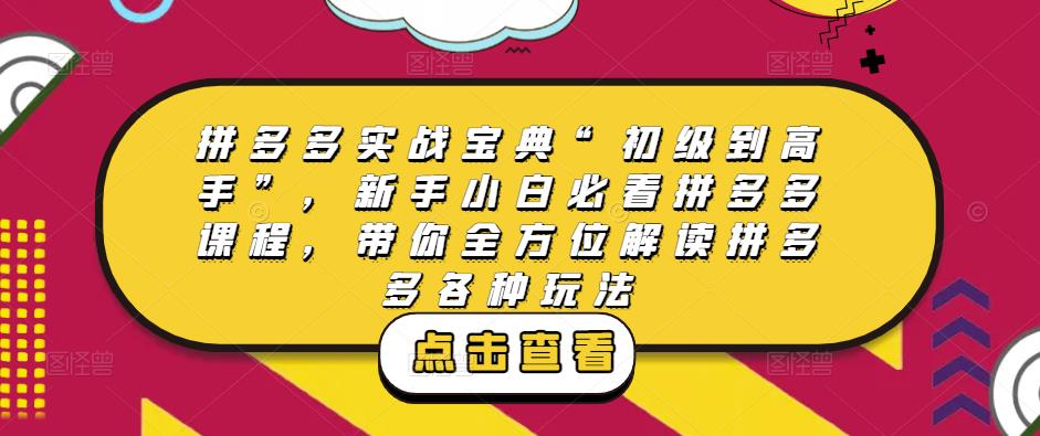 拼多多实战宝典“初级到高手”，新手小白必看拼多多课程，带你全方位解读拼多多各种玩法-鹤行社项目库