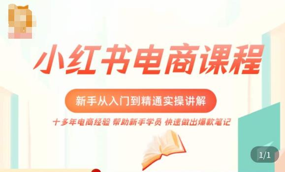 小红书电商新手入门到精通实操课，从入门到精通做爆款笔记，开店运营-鹤行社项目库