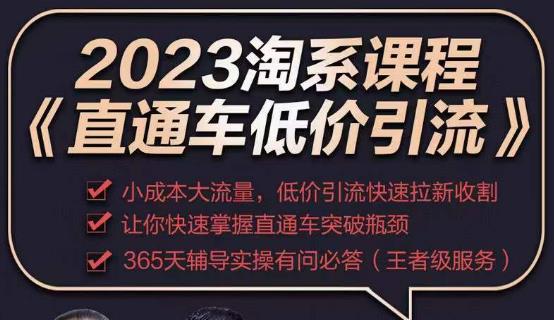 2023直通车低价引流玩法课程，小成本大流量，低价引流快速拉新收割，让你快速掌握直通车突破瓶颈-鹤行社项目库