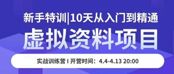 虚拟资料项目新手特训，10天从入门到精通，保姆级实操教学-鹤行社项目库