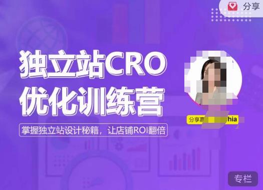 独立站CRO优化训练营，掌握独立站设计秘籍，打造高转化的独立站，让店铺ROI翻倍-鹤行社项目库