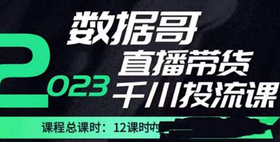 数据哥2023直播电商巨量千川付费投流实操课，快速掌握直播带货运营投放策略-鹤行社项目库