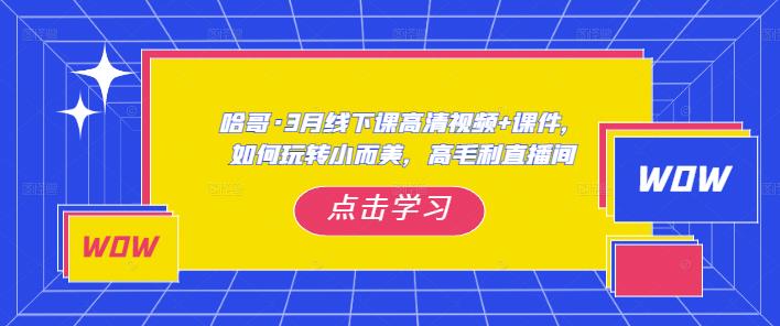 哈哥·3月线下实操课高清视频+课件，如何玩转小而美，高毛利直播间-鹤行社项目库