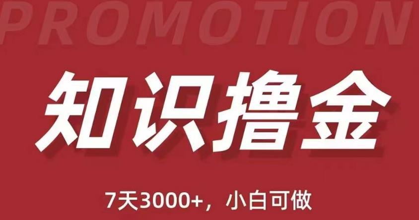 抖音知识撸金项目：简单粗暴日入1000+执行力强当天见收益(教程+资料)-鹤行社项目库