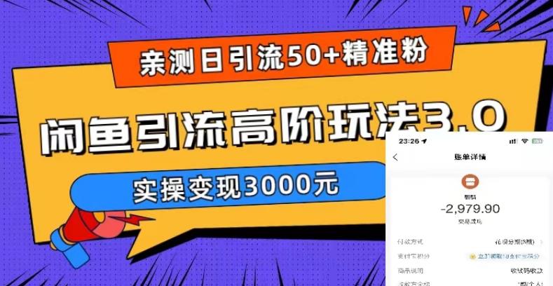 亲测日引50+精准粉，闲鱼引流高阶玩法3.0，实操变现3000元【揭秘】-鹤行社项目库
