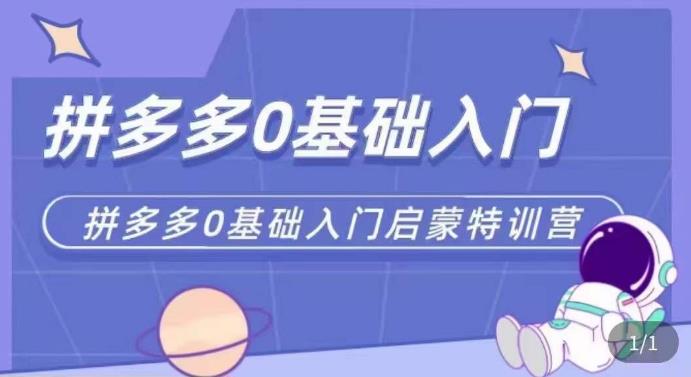 拼多多运营0-1实操特训营，拼多多0基础入门，从基础到进阶的可实操玩法-鹤行社项目库