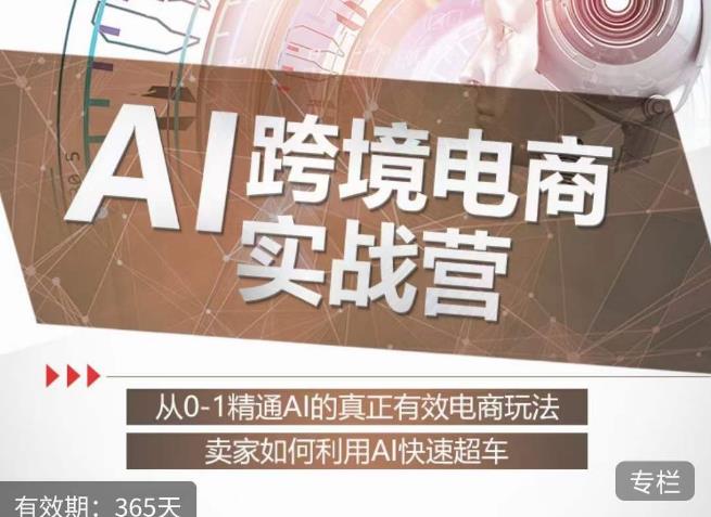 白龙老师·AI跨境电商实战营：从0-1精通Al的真正有效电商玩法，卖家如何利用Al快速超车-鹤行社项目库