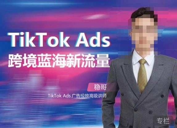 稳哥·如何投出高ROI的TikTok广告，开拓独立站卖家流量新蓝海-鹤行社项目库