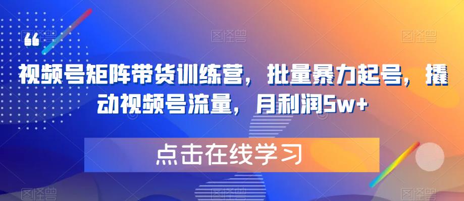 视频号矩阵带货训练营，批量暴力起号，撬动视频号流量，月利润5w+-鹤行社项目库
