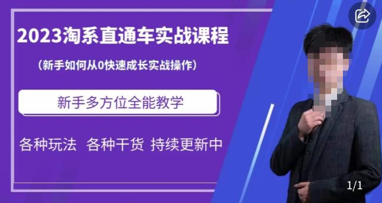 2023淘系直通车保姆式运营讲解，新手如何从0快速成长实战操作，新手多方位全能教学-鹤行社项目库