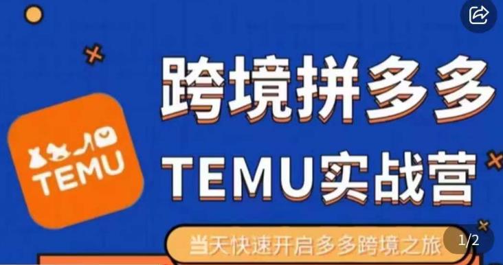 大鹏出海·拼多多跨境temu运营指导，开店注册+选品+核价上架，日出千单实战课-鹤行社项目库
