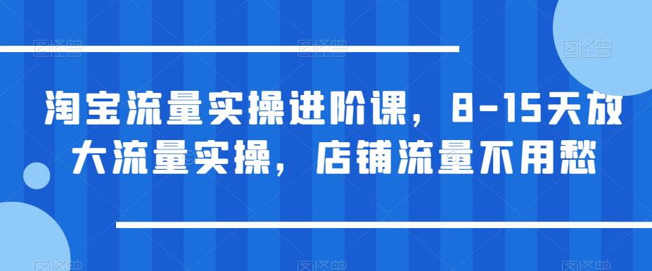 淘宝流量实操进阶课，8-15天放大流量实操，店铺流量不用愁-鹤行社项目库