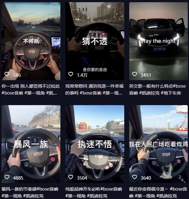 抖音开车视频项目，0基础操作，每天五分钟，月入1W+【揭秘】-鹤行社项目库