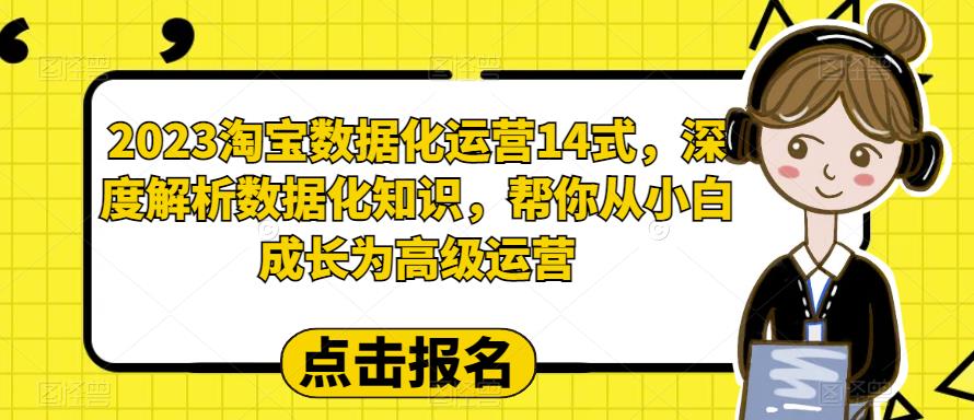 2023淘宝数据化运营14式，深度解析数据化知识，帮你从小白成长为高级运营-鹤行社项目库