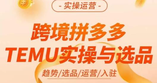 伍跃·跨境拼多多TEMU实操与选品，​趋势/选品/运营/入住（27节完整）-鹤行社项目库