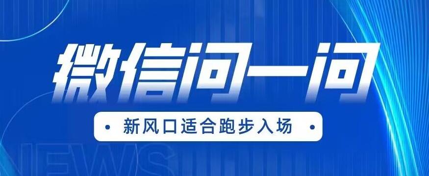全网首发微信问一问新风口变现项目（价值1999元）【揭秘】-鹤行社项目库