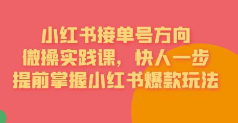 接单号方向·小红书微操实践课，快人一步，提前掌握小红书爆款玩法-鹤行社项目库